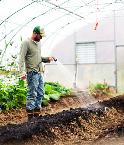 Ways Consumer Trends Impact Your Farm